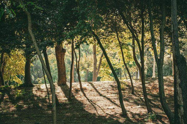 Comment le drainage lymphatique aide les sportifs à maintenir leur poids optimal